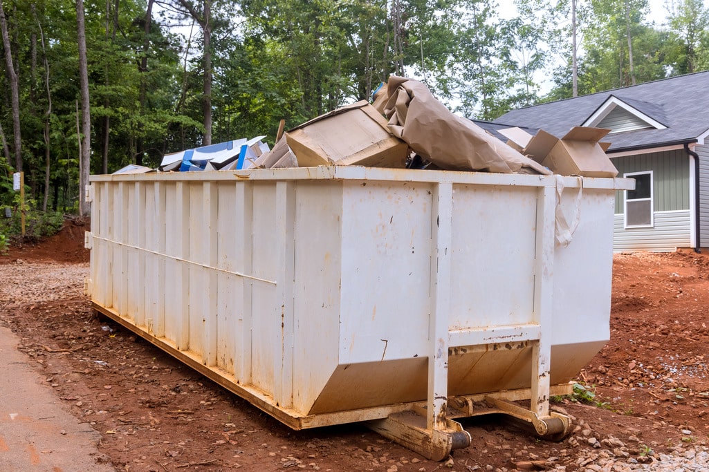 You are currently viewing Beyond Trash: Other Uses of Skip Bins